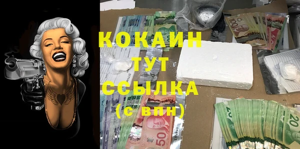 молекула духа Беломорск