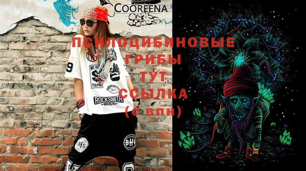 молекула духа Беломорск