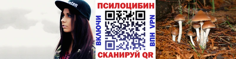 Псилоцибиновые грибы Cubensis  Вихоревка 